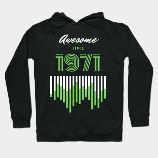 Awesome Since 1971, 50 years old, 50th Birthday Gift Hoodie